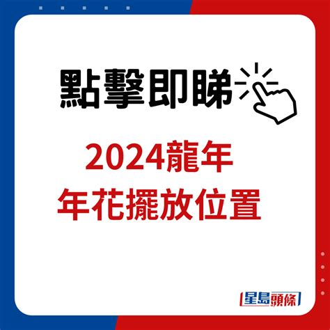 富貴竹幾多支好|2024龍年風水｜富貴竹買幾支？桃花要點擺？一文睇 